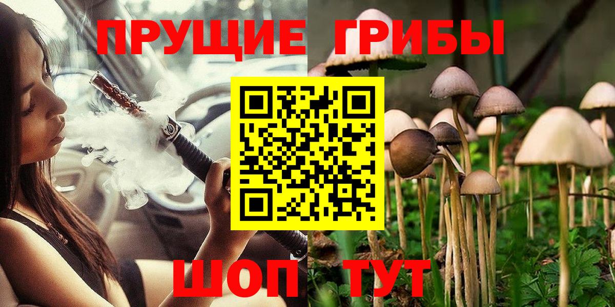 Псилоцибиновые грибы ЛСД  Вход с VPN  Кисловодск  Псилоцибиновые грибы Psilocybine cubensis 